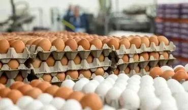 تخم مرغ به دانه‌ای 12 هزار تومان رسید/ علت گران شدن تخم‌مرغ مشخص شد