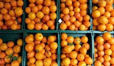  افزایش قیمت ۳ برابری قیمت پرتقال