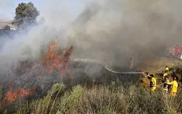 صهیونیست‌ها، ناتوان در برابر آتش بالن‌های آتش‌زای فلسطینی