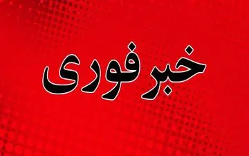 فردی مسلح در کاخ ملکه انگلیس بازداشت شد