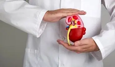 تغذیه مناسب برای حفظ سلامت کلیه‌ها