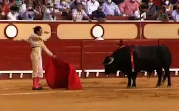 زجرکش کردن یک گاو در یک مراسم غربی