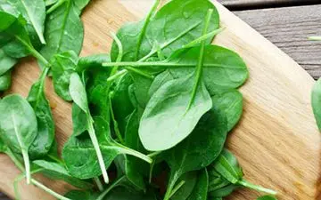 این گیاه بیشتر از یک همبرگر آهن دارد

