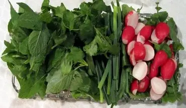 بهترین روش‌های نگهداری سبزی خوردن شسته شده در یخچال