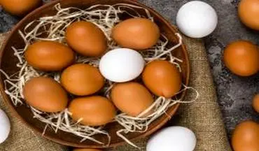 آیا شستن تخم مرغ درست است؟