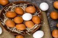  آیا شستن تخم مرغ درست است؟