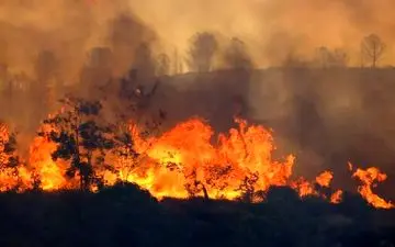 مهار حریق در جنوب فرانسه؛ ۱۶ هزار هکتار از جنگل‌ها و روستاها در آتش سوخت