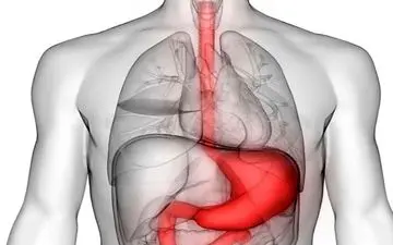 معده چگونه سرد می‌شود؟

