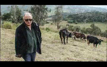 جشنواره تندیس طلایی |«کیارستمی و عصای گمشده» نامزد چهار جایزه از جشنواره آمریکایی شد