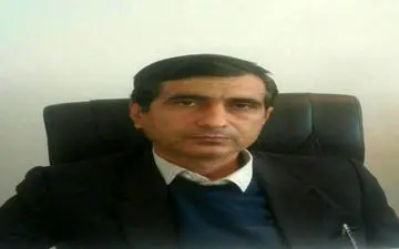 کشت ۴۵۲ هکتار چغندرقند پاییزه در مناطق گرمسیری استان 