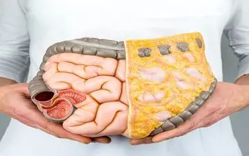 چرا چربی شکمتان آب نمی‌شود