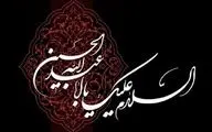 نام‌گذاری شب‌های محرم؛ هر شب به یاد کدام شهید کربلاست؟