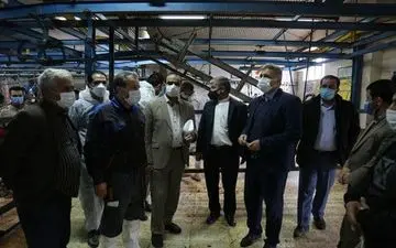 
بازدید مشترک مدیر کل دامپزشکی و مدیرکل تعزیرات حکومتیاز کشتارگاه های دام شهرستان کرمانشاه