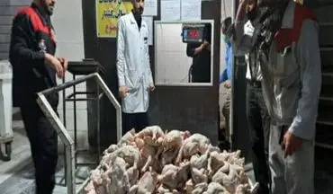  خارج شدن 360 کیلوگرم مرغ فاسد از چرخه مصرف در استان کرمانشاه