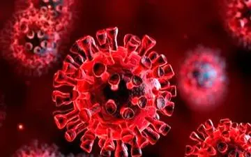 ویروس کرونا نارسایی کلیه هم بوجود می آورد