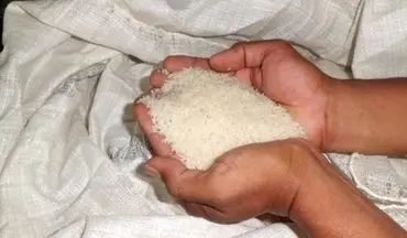 5 تن برنج قاچاق در کنگاور کشف شد  
