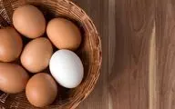آیا مصرف زرده تخم مرغ برای کهنسالان مضر است