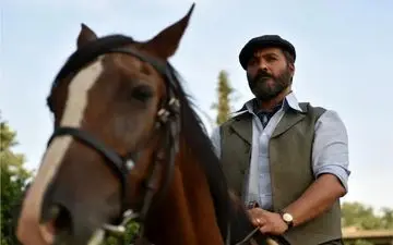 جدیدترین سریال‌های شبکه نمایش خانگی| معرفی سریال‌هایی که همه منتظرشان هستند