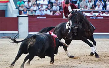 گاوی که در مسابقات گاوبازی به یک اسب حمله کرد + فیلم