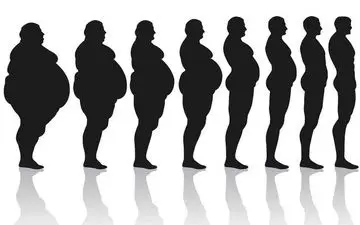 راز چاقی را بدانید