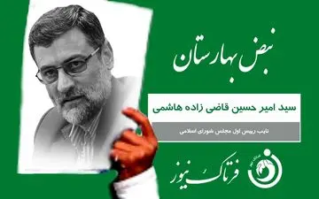 کارت سبز «نبض بهارستان» به سید امیرحسین قاضی زاده هاشمی