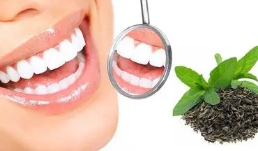 دندان‌ها را با چای سبز بشویید!