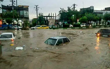 شکرگزاری جالب یک سیل زده