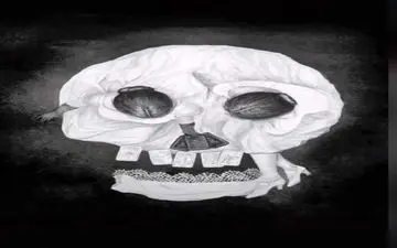 اولین چیزی که در تصویر می‌بینید حرف های بسیاری در مورد شما می گوید!