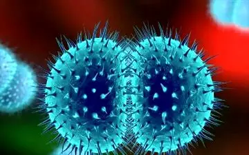 درمان طبیعی سوزاک: روش‌های مؤثر، علائم و دلایل ابتلا