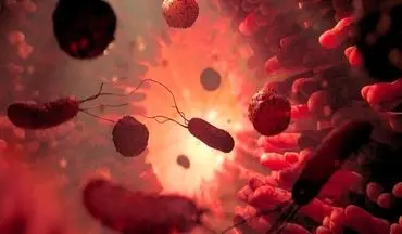 کمک پیوند مدفوع به کاهش افسردگی!