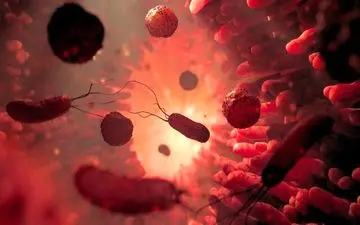 کمک پیوند مدفوع به کاهش افسردگی!