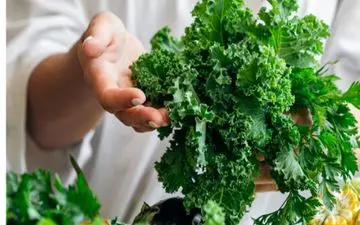 کلم کیل چیست؟| خواص جالب کلم کیل و نحوه مصرف آن

