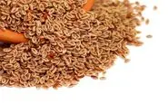 یبوست داری و اذیت هستیی؟ بیا تا یک گیاه بهت معرفی کنم که معجزه میکنه!