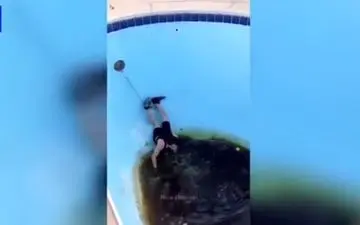 اگر روز بدی داشتید این ویدئو را از دست ندهید