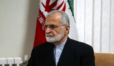 سیاست ایران حمایت از دولت‌های مستقر است/ گسترش روابط اقتصادی ایران و افغانستان 