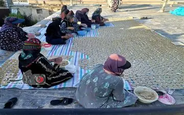 تصاویر دیدنی از مراحل تهیه «ترخینه» توسط زنان عشایر گهواره