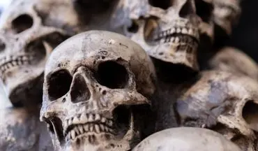 کشف جمجمه‌ای در چین سیر زمانی تکامل انسان را زیر سوال برد