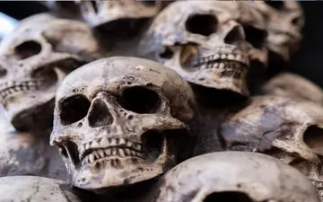 کشف جمجمه‌ای در چین سیر زمانی تکامل انسان را زیر سوال برد