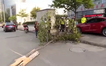 زیرگرفتن عابر پیاده پس از انفجار لاستیک خودرو + فیلم