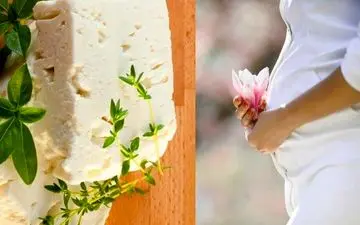 پنیر فتا باعث سقط جنین می شود! + عوارض جدی در بارداری