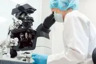 گزینش ژنتیکی پیش از تولد؛ فناوری جدید آی‌وی‌اف برای انتخاب سالم‌ترین جنین