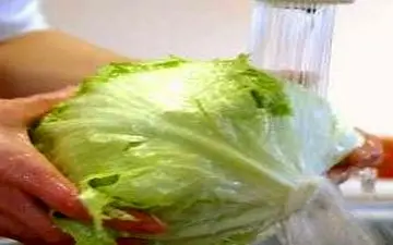 مواد غذایی که نیاز به شستشوی بیشتری دارند 