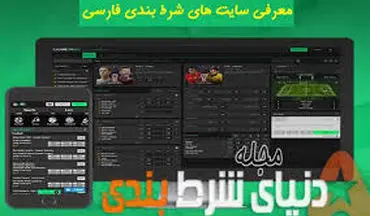 رییس فتا: سردمداران سایت‌های شرط بندی ایران نیستند