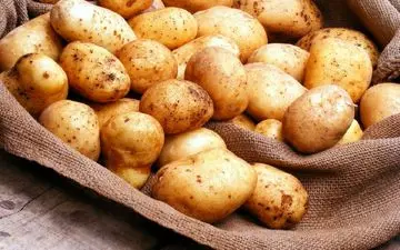 روند نزولی قیمت سیب‌زمینی آغاز شد