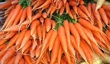 علت بالا رفتن قیمت هویج چیست؟ 