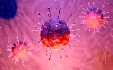 از شیوع کرونای هندی نگرانیم!