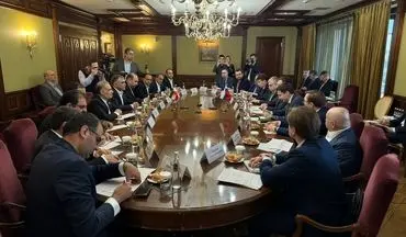 وزیر نفت با معاون نخست‌وزیر روسیه در مسکو دیدار کرد