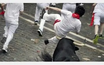 شاخ گاوهای خشمگین پنج تن را در اسپانیا زخمی کرد