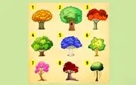 بگو ببینم برای باغچه کدام درخت را انتخاب می کنید؟ تست شخصیت