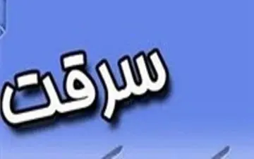  ورود پلیس آگاهی به پرونده سرقت منزل نماینده مجلس